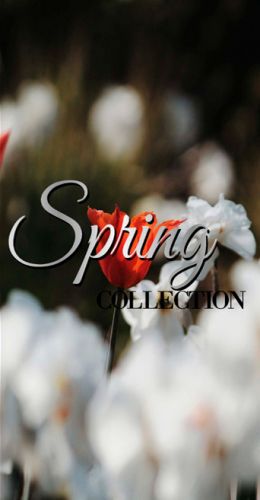 Catálogo Spring P. Espejo